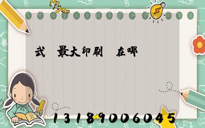 武漢最大印刷廠在哪